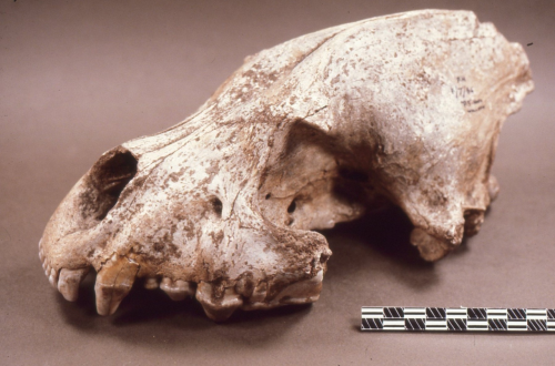 Figure 23