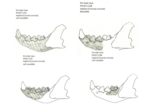 Figure 26