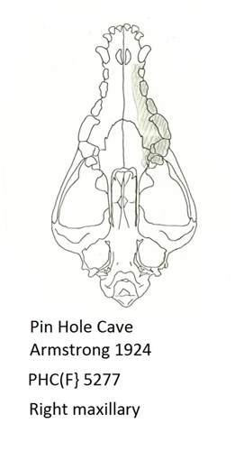 Figure 35a