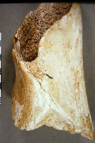 Figure 54