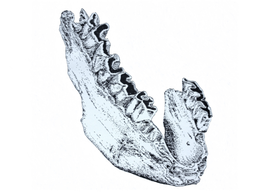 Figure 57