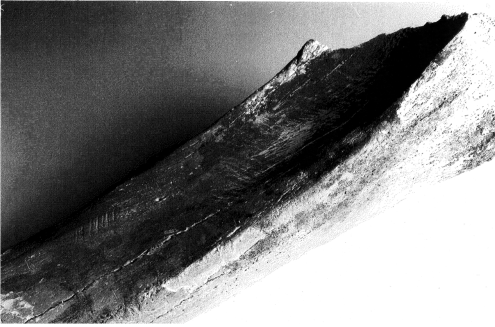 Figure 65