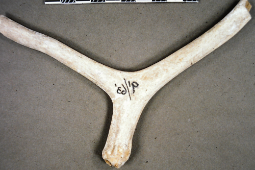 Figure 74