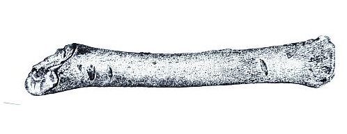 Figure 77