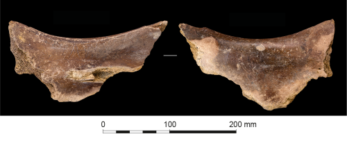 Figure 9