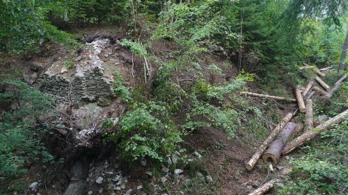 Photo of Mitrov castle (Žďár nad Sázavou district). The picture illustrates the onset of timber harvesting, already damaging the relics of the walls (NHI, photo by P. Macků 2018)