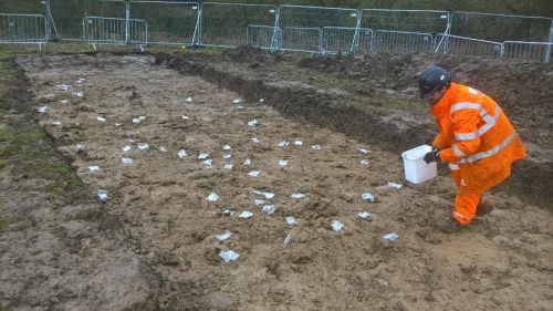 A trial trench in Dews Farm, Hillingdon: HS2 Phase One. Image credit: HS2 Ltd