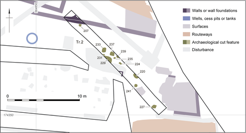 map showing plan of discrete features in Trench 2