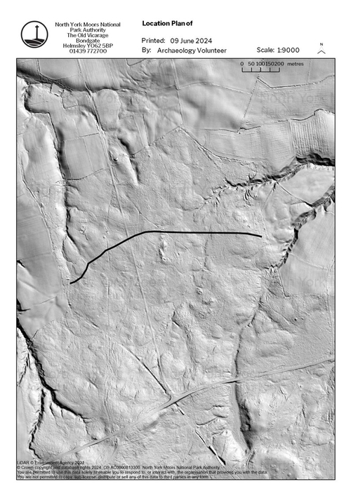 Figure 20