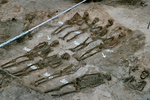Figure 13