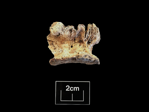 Figure 108
