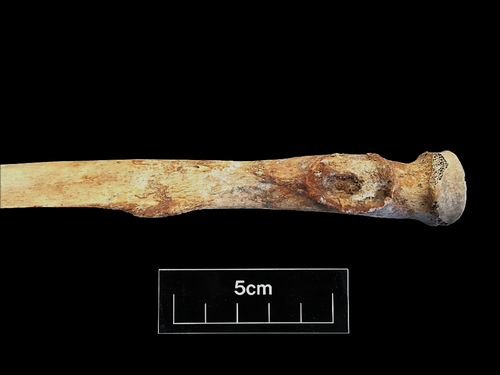 Figure 109