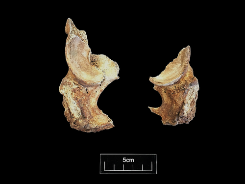 Figure 110