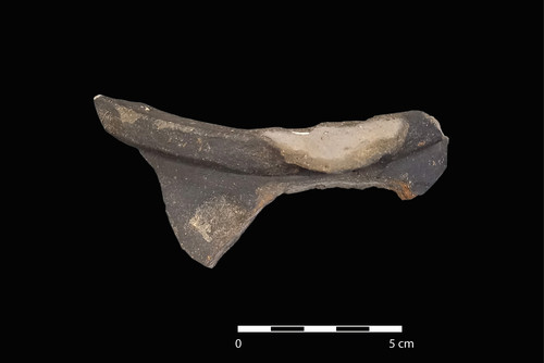 Figure 68