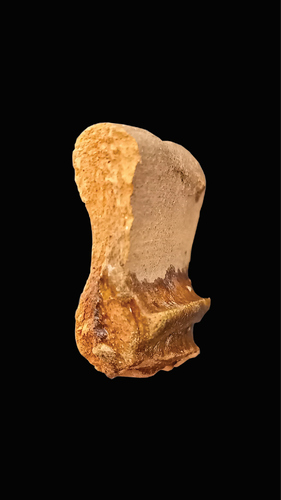 Figure 69