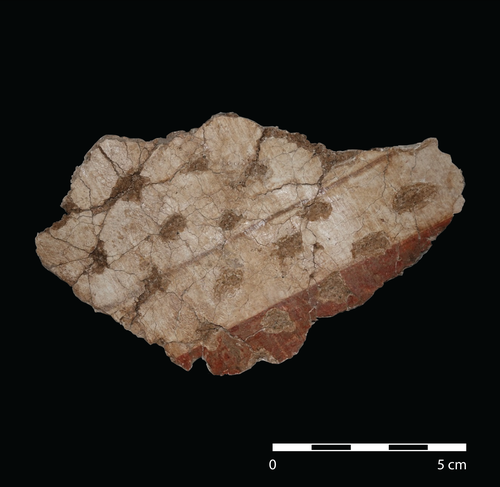 Figure 77