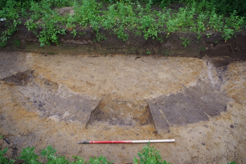 Figure 13