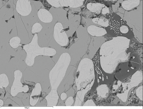 Figure20b
