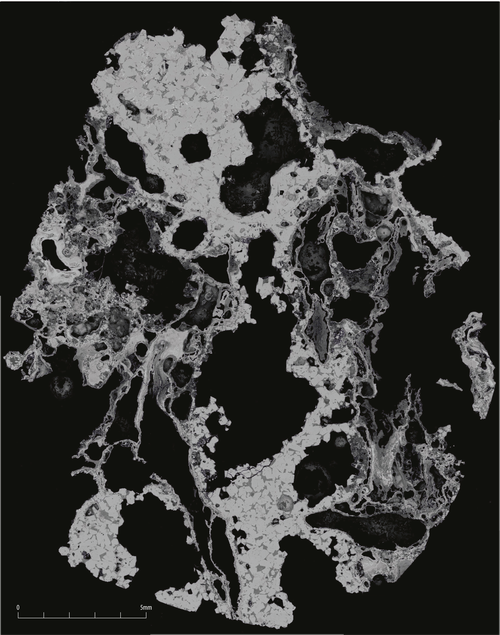 Figure 22