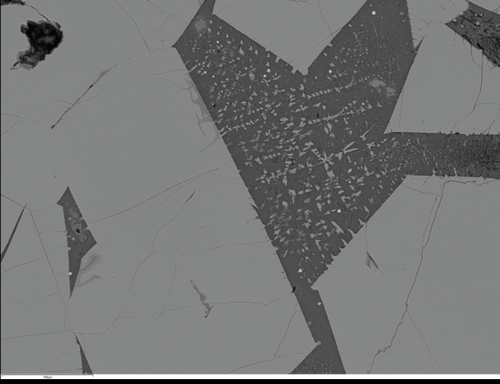 Figure23c
