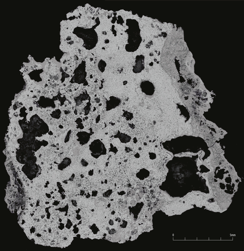 Figure 24