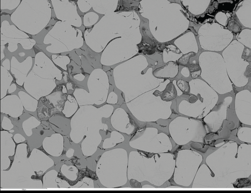 Figure25b