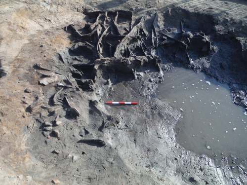 Wattle lining in watering hole under excavation