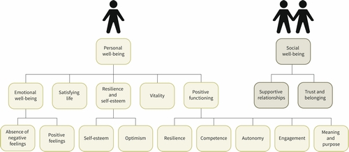 NEF indicator structure adapted from their national accounts framework (NEF 2009)