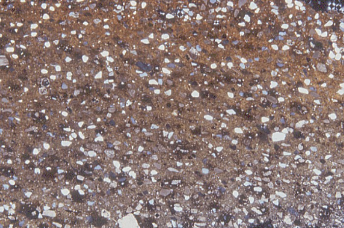 Figure 4b