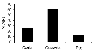 figure 64